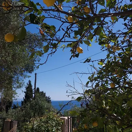 Despina Benitses * Benícesz