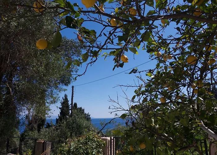 Despina Benitses * Benitses (Corfu)